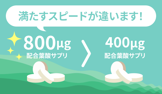 市場 葉酸800μg配合 約30日分 90粒 エナジー葉酸800 お試しセール開催中