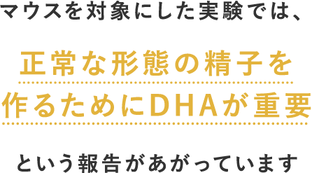 マウスを対象にした実験では、正常な形態の精子を作るためにDHAが重要という報告があがっています