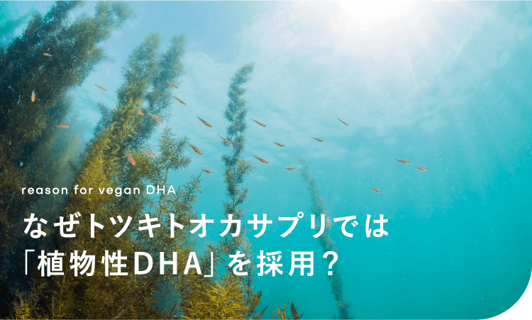 なぜトツキトオカサプリでは「植物性DHA」を採用？