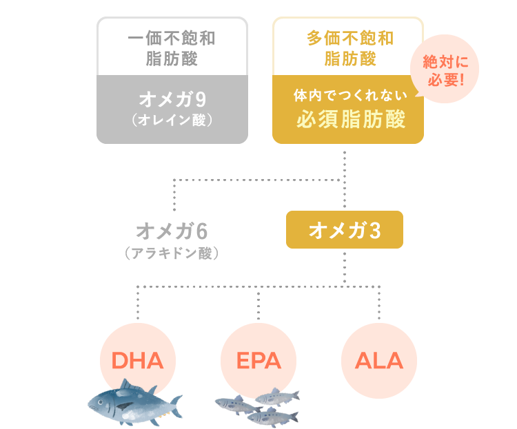 多価不飽和脂肪酸 オメガ3