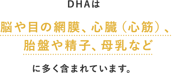 DHAは 脳や目の網膜、心臓（心筋）、胎盤や精子、母乳などに多く含まれています。