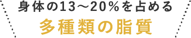 身体の13～20％を占める多種類の脂質