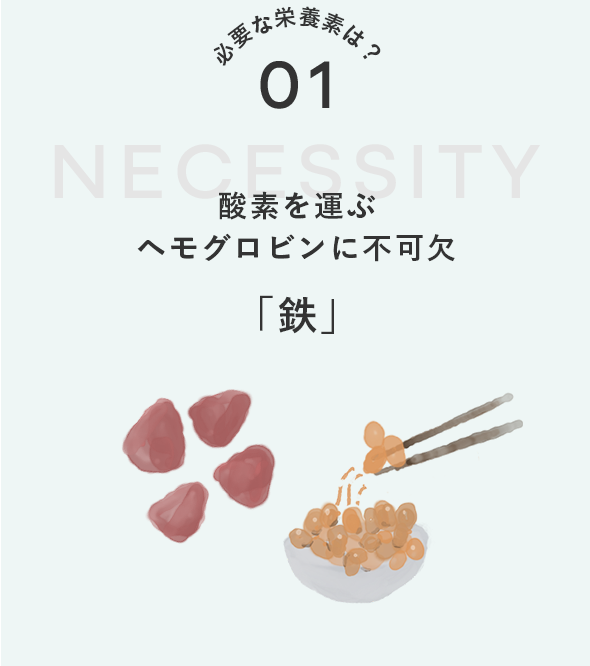 01.酸素を運ぶヘモグロビンに不可欠「鉄」