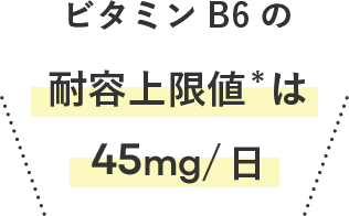 ビタミンB6耐容上限値は45mg/日